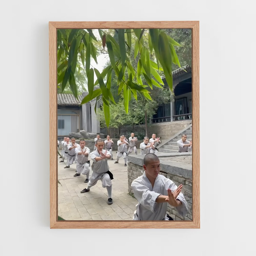 Poster Maîtres du Kung-Fu – affiche Kung Fu (vue 4)
